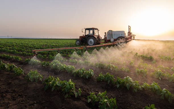 Best Best Pest Control Companies  in Fabrica, TX