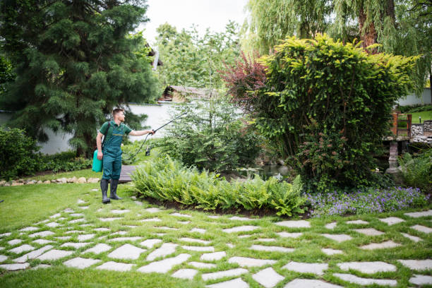 Best Pest Control Treatment  in Fabrica, TX