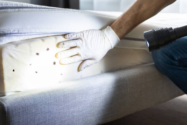 Pest Prevention Services in Fabrica, TX