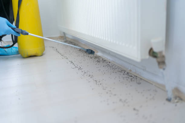 Professional Pest Control in Fabrica, TX