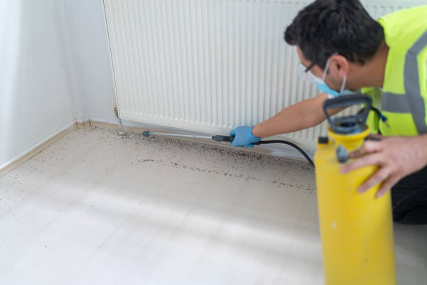 Best Residential Pest Control  in Fabrica, TX