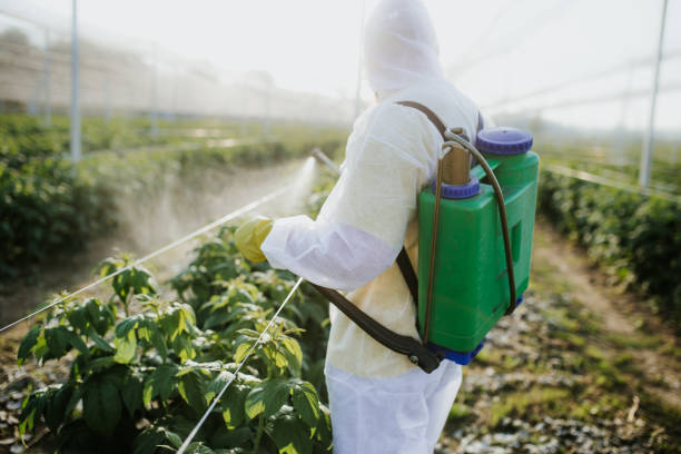 Best Mosquito Control Services  in Fabrica, TX